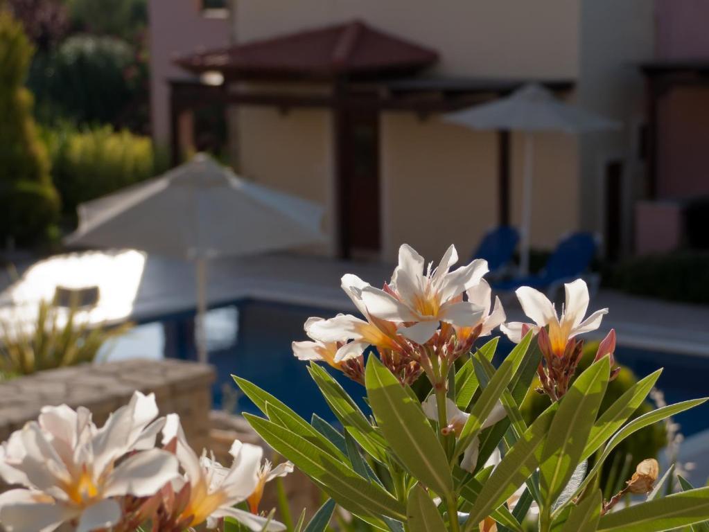 Eligia Villas Mixórrouma الغرفة الصورة